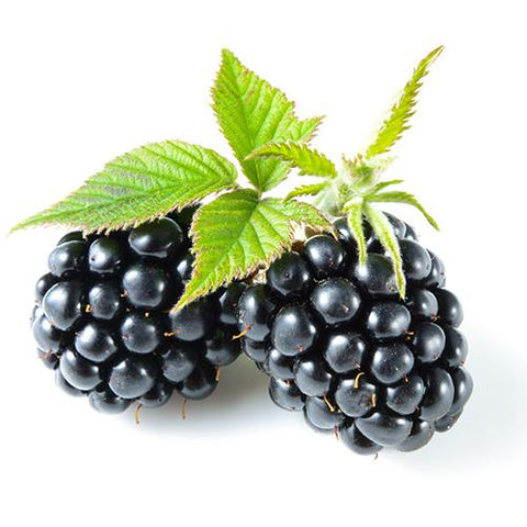 Blackberry Dark Balsamic Vinegar